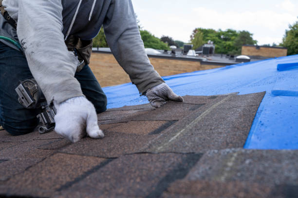 Best Roof Leak Repair  in Guttenberg, IA