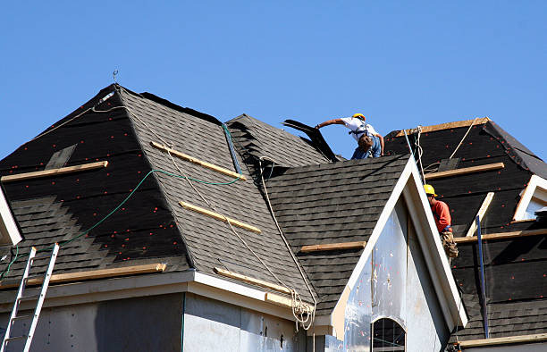 Best Roof Gutter Cleaning  in Guttenberg, IA