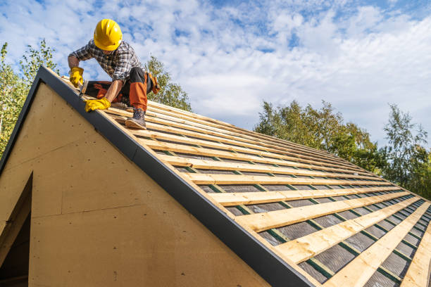 Best Metal Roofing Contractor  in Guttenberg, IA