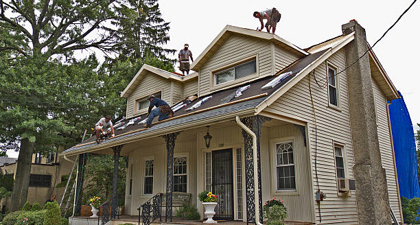 Best Tile Roofing Contractor  in Guttenberg, IA